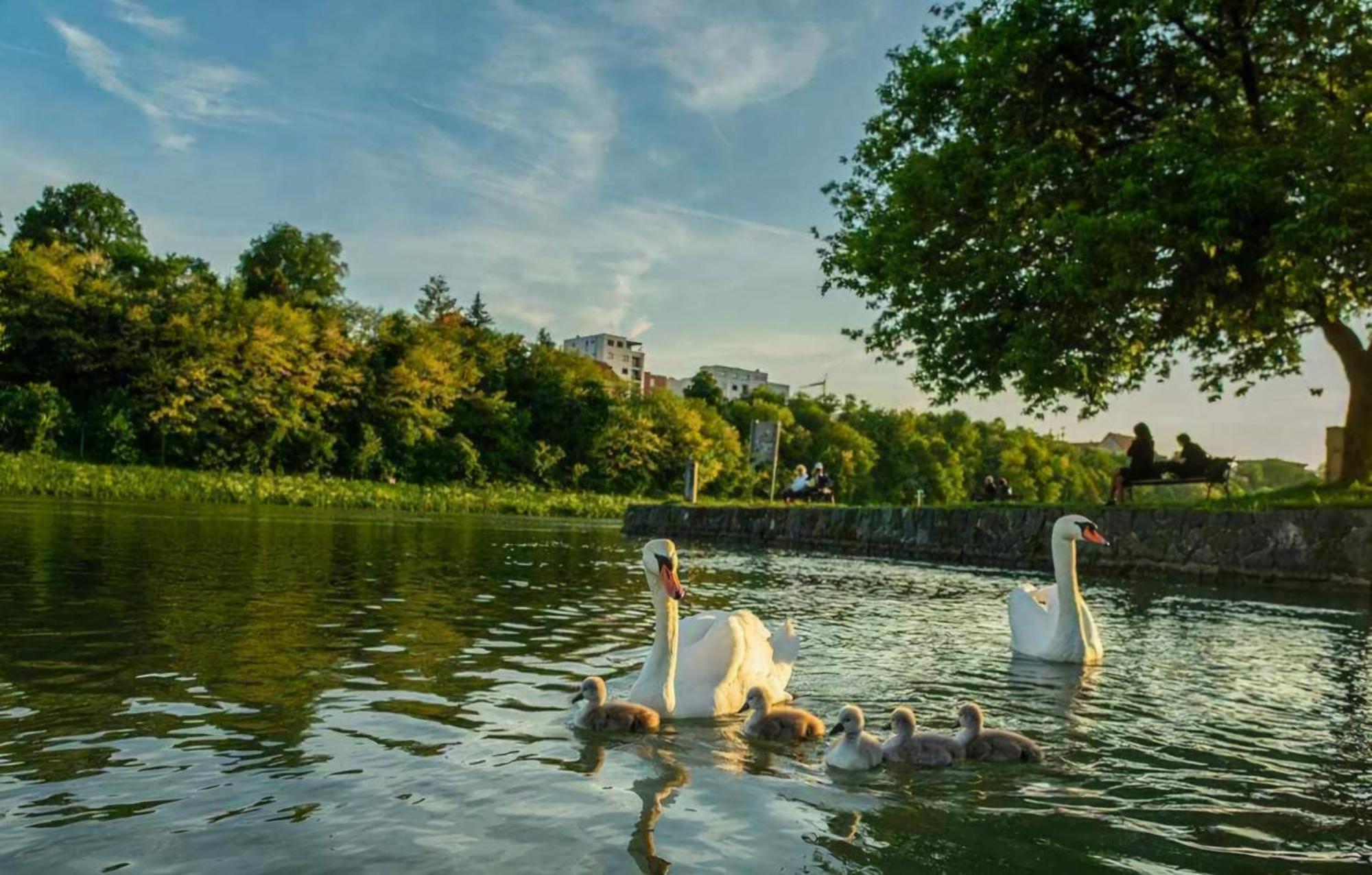 Apartment Dolce Vita Maribor Dış mekan fotoğraf